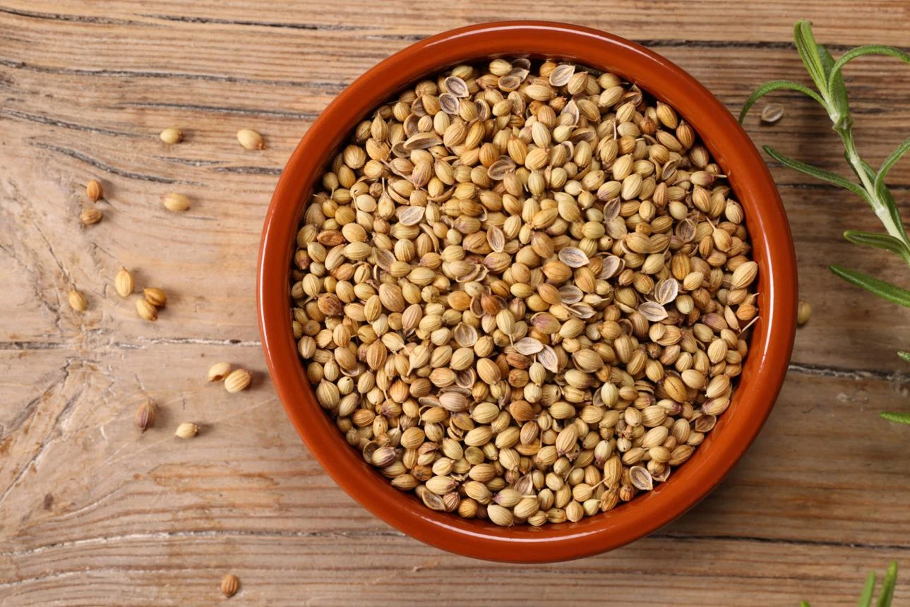 Dhania Seed (Coriandrum sativum) used in Gas Q